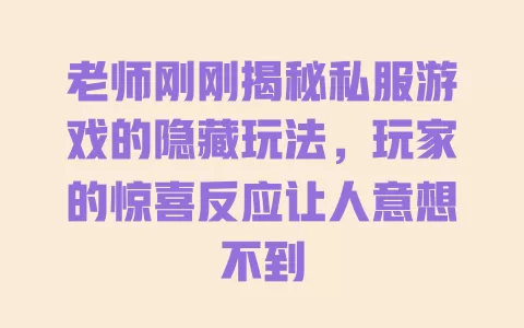 老师刚刚揭秘私服游戏的隐藏玩法,玩家的惊喜反应让人意想不到 一