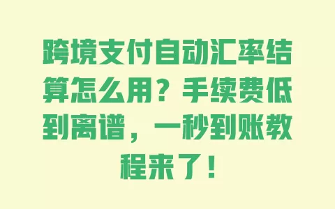 跨境支付自动汇率结算怎么用？手续费低到离谱，一秒到账教程来了！ 一