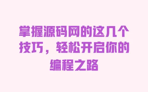掌握源码网的这几个技巧，轻松开启你的编程之路 一