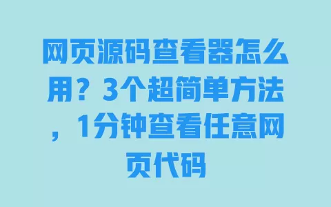网页源码查看器怎么用?3个超简单方法,1分钟查看任意网页代码 一
