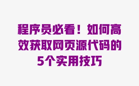 程序员必看!如何高效获取网页源代码的5个实用技巧 一