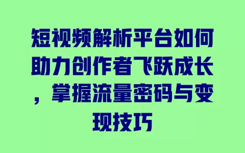 短视频解析平台如何助力创作者飞跃成长,掌握流量密码与变现技巧 一