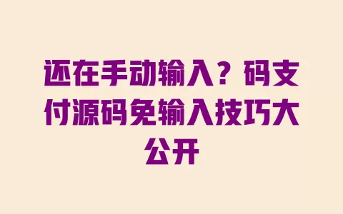还在手动输入?码支付源码免输入技巧大公开 一