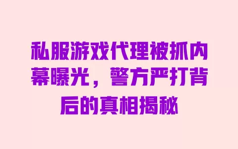 私服游戏代理被抓内幕曝光,警方严打背后的真相揭秘 一
