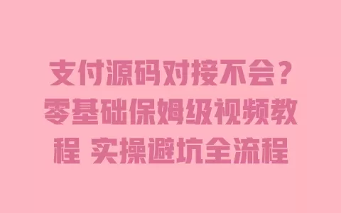 支付源码对接不会?零基础保姆级视频教程 实操避坑全流程 一