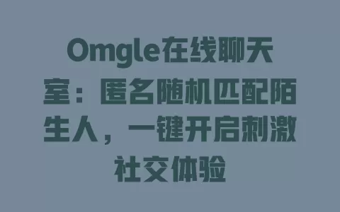 Omgle在线聊天室:匿名随机匹配陌生人,一键开启刺激社交体验 一