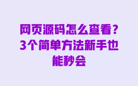 网页源码怎么查看?3个简单方法新手也能秒会 一