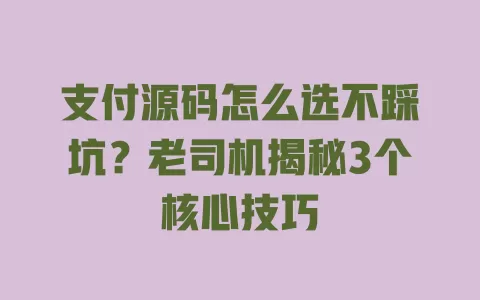 支付源码怎么选不踩坑?老司机揭秘3个核心技巧 一