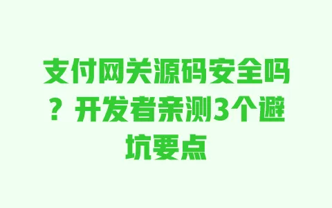 支付网关源码安全吗?开发者亲测3个避坑要点 一