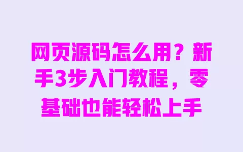 网页源码怎么用?新手3步入门教程,零基础也能轻松上手 一