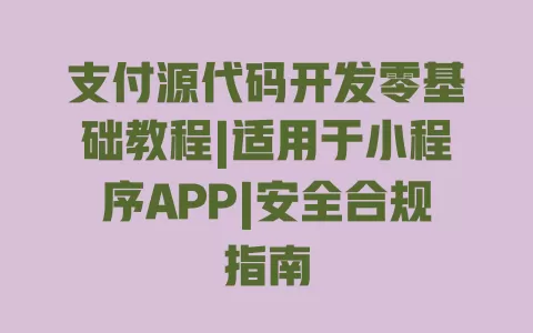 支付源代码开发零基础教程|适用于小程序APP|安全合规指南 一