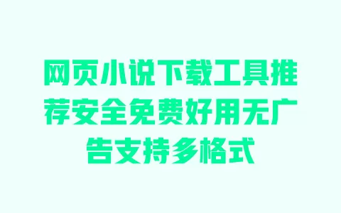 网页小说下载工具推荐安全免费好用无广告支持多格式 一