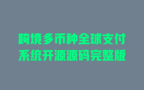 跨境多币种全球支付系统开源源码完整版 一