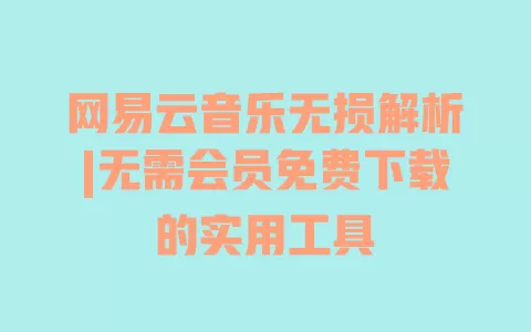 网易云音乐无损解析|无需会员免费下载的实用工具 一