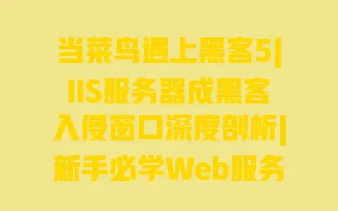 当菜鸟遇上黑客5|IIS服务器成黑客入侵窗口深度剖析|新手必学Web服务器安全防护指南 一