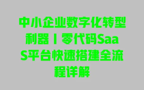 中小企业数字化转型利器|零代码SaaS平台快速搭建全流程详解 一