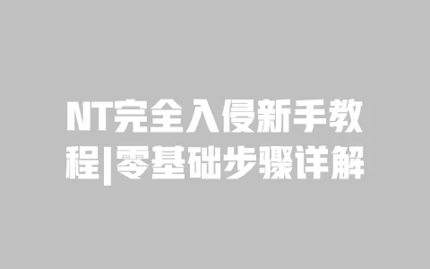 NT完全入侵新手教程|零基础步骤详解 一